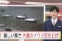 【画像あり】北海道のイワシが「寒すぎて」仮死状態に → 浜辺に打ち上げられて死亡へｗｗｗｗｗｗｗｗ