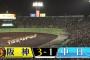 阪神タイガース（６勝２０敗）　←思ったより勝ってた