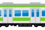 【悲報】小田急江ノ島線の踏切で男女２人が電車にはねられ死亡した事故がガチでヤバい・・・・・・・・・