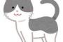 【画像】猫系youtuber「あっ！洗濯機の排水溝に子猫詰まってる！助けなきゃ！！」ﾊﾟｼｬ