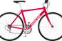 【まさか】直線なら自転車で100キロくらい大したことないｗｗｗｗｗｗ