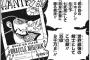 ワンピース“鷹の目“ミホーク「俺は四皇になどなりたくない、平穏に暮らしたい」←35億9千万ベリー