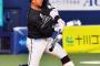 【ロッテ】田村龍弘が国内FA権の行使を検討←これ欲しい球団おる？