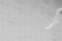 NASAが火星で妖怪「一反木綿」似のUFO残骸を発見！