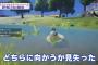 【朗報】ドラクエ新作、「ゼルダの伝説 ブレスオブザワイルド」に影響を受けている事が判明！！