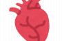 【これマジ？】3Dプリンタで心臓作ったら自発的に動き出した・・・