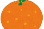 【動画】スペインでは街路樹がオレンジの木で、もちろん食べるために収穫される
