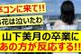 山下美月の卒業にあの方が反応する!!【乃木坂46・乃木坂配信中・乃木坂工事中】