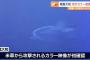 旧日本海軍の戦艦「大和」のカラー映像を発見、空襲で水柱や水煙が上がるなか旋回する16秒間の姿を記録！