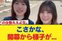 【日向坂46】こさかな、開幕から様子が…【日向坂46HOUSE】#日向坂46 #日向坂 #日向坂で会いましょう #乃木坂46 #櫻坂46