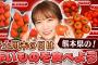 「冬土用未の日」を赤い食材で彩ろう‼秋元真夏が熊本県のいちごやトマトをかけてトマトマトゲーム！