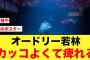 【日向坂46】東京ドーム公演2日目のオードリー若林さんの後ろ姿がカッコ良すぎる【日向坂で会いましょう】