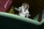 ※【ガンダム00】イオリアが殺害されなかったらどうなっていた？