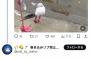 ひろゆき「妻は若い頃痴漢冤罪でお金儲けしてました」西村ゆか「そんな事してない！」
