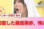 【日向坂46】豹変した藤嶌果歩、怖い #日向坂46 #日向坂 #日向坂で会いましょう #乃木坂46 #櫻坂46