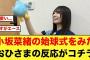 選手もニッコニコ！小坂菜緒の始球式を見た、おひさまの反応がコチラ【日向坂46】