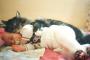 【ねこ画像】子守ねこ、睡眠妨害 ほか【再】