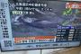 【速報】千葉の海岸にクジラが大量に打ち上げられる （画像あり）