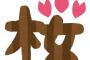 みんなはさくらって人名として違和感はないんだろうか？桜は散るし、どちらかと言うと綺麗な氏という悲しいイメージ。お目出度い花だったら「蓮」とか選びようがあると思う