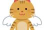 猫を飼おうかなと思ってるけど歴代の亡くなっている猫が次々と夢に出てくる