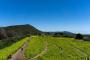 【悲報】北海道の畑で『異常事態』が発生してしまう！！！！！！！
