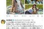 【画像】浜辺美波さん、考えすぎてツイートの表現を修正してしまう