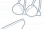 【画像】Pカップのブラジャー