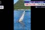 謎の漂流物が沖縄の海上に…これは何？！