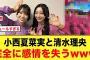 小西夏菜実と清水理央、完全に感情を失うw【日向坂46】