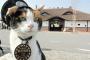 【ありがとう】三毛猫「たま駅長」死ぬ　和歌山電鉄、２８日に社葬