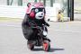 くまモン、鈴鹿に現る！見事なバイクパフォーマンスを披露
