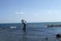 彡(ﾟ)(ﾟ)「大変や！海から手が沢山出とる、助けないと！」