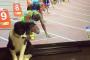 【画像】男子200ｍ、第10レーンの走者カワイすぎワロタｗｗｗｗｗｗｗｗ