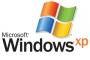 「Windows 10」、順調に普及　あれ？「Windows XP」のシェアは減らねーよ
