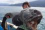 【画像】フクシマの近くのホッカイドーという島で奇怪な魚が釣れた
