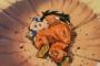 【悲報】アニメ「ドラゴンボール超」の視聴率が最低記録を更新