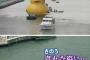【悲報】川を旅する巨大アヒル隊長が哀れな姿に……　→　レゴで完全再現されてるｗｗｗｗｗｗｗ