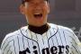 【悲報】金本監督、来季も「鳥谷ショート」を明言