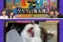 【炎上】フジテレビで「歌うネコ」の動画を紹介→苦痛を与えて鳴かせている？虐待疑惑で市役所が調査へ