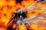 ※ガンダムキャラが見せたスゴ技テクニックを挙げよう！