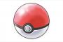 ポケモンのモンスターボールってなんでポケモンしか入らないんや？