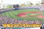 ワイＤｅ、今年は優勝予想（５年連続５回目）