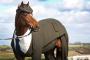 【世界初】テーラーメイドのスーツを着こなす馬ｗｗｗｗさすが紳士の国
