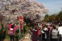 【大阪】記念撮影のために桜の枝を折り、トイレも汚し「マナー悪すぎや」　中国人客らの「爆花見」に波紋…大阪城公園