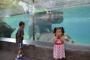 【画像】動物園ではあまり子供たちに見せたくもないような