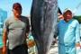サメかと思ったら実は･･･　180キロの大物本マグロ水揚げに漁師大歓喜　沖縄