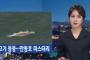 「韓国の飲料用水源で魚や鳥が大量死！」韓国人「水源近くの工場から廃棄された重金属廃棄物が原因か？」