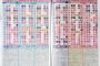 AKB新聞記者たちの総選挙順位予想がこちらｗｗｗｗｗｗｗｗ