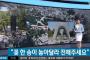 韓国人「広島原爆死亡者のうち1/5程度である3万人は韓国人だった！」オバマ大統領は韓国人慰霊碑に花一輪の献花を‥韓国人被爆者の望　韓国の反応