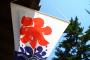 韓国人「日本で話題のかき氷店BEST5を紹介する」→「ビジュアルは全部ハンパないね（笑）」